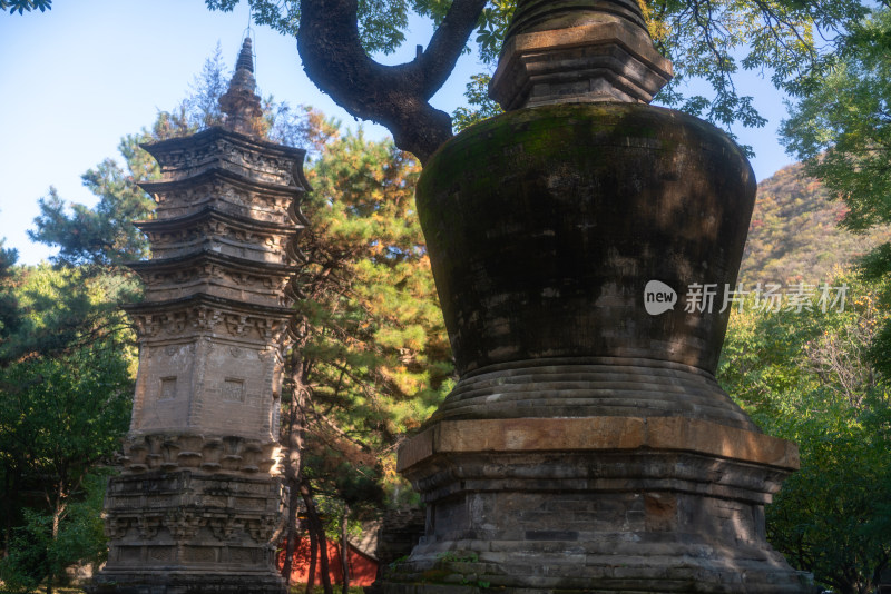 潭柘寺塔林