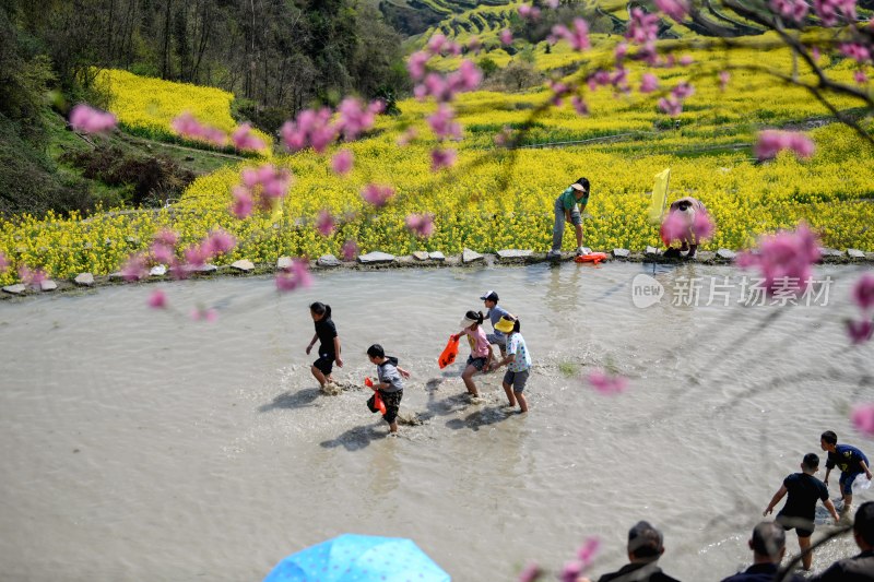 重庆酉阳：三月花海千氹田