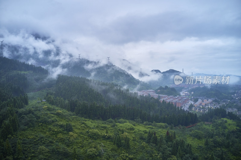 峨眉山的原始森林