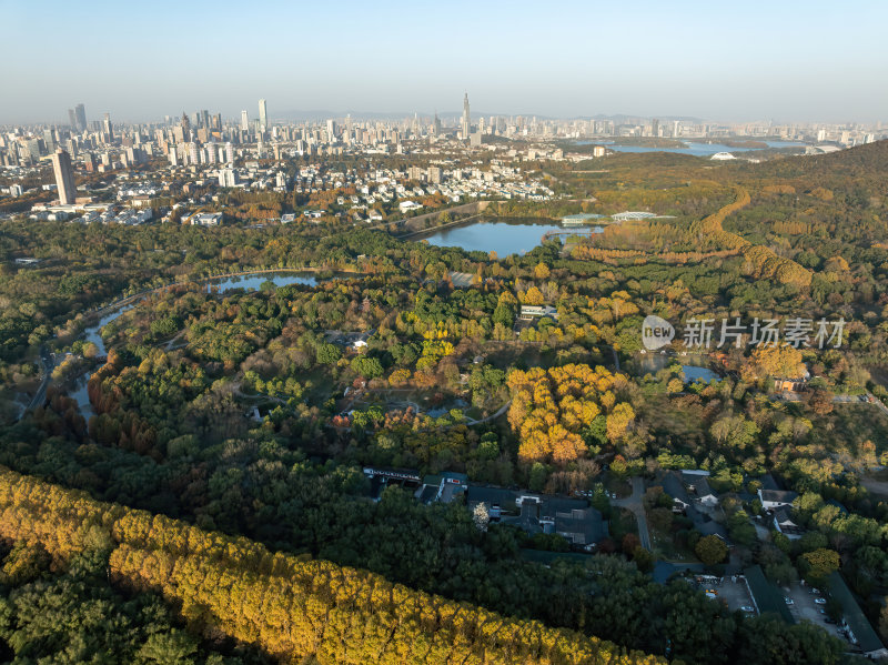 江苏南京灵山风景区前湖秋天秋色航拍