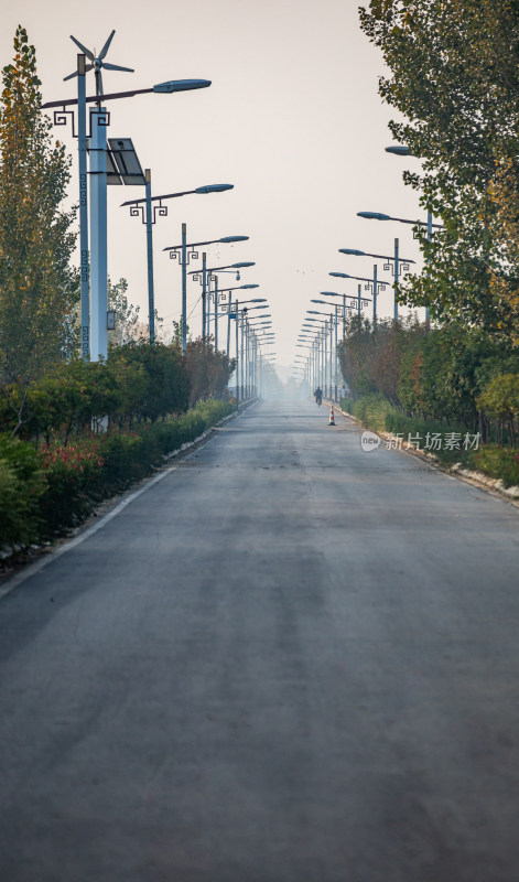 道路上整齐排列的中式路灯