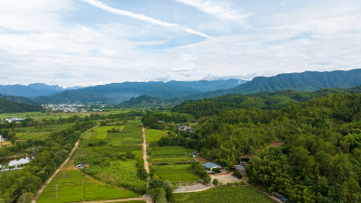 航拍武夷山绿色农田与茶园