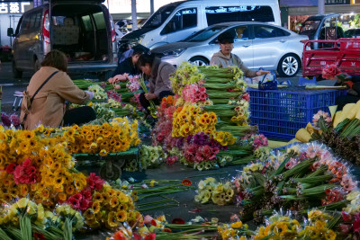 斗南花市外场