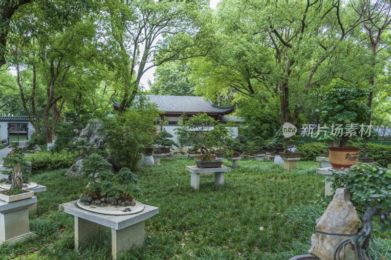 武汉东湖风景区梨园景点