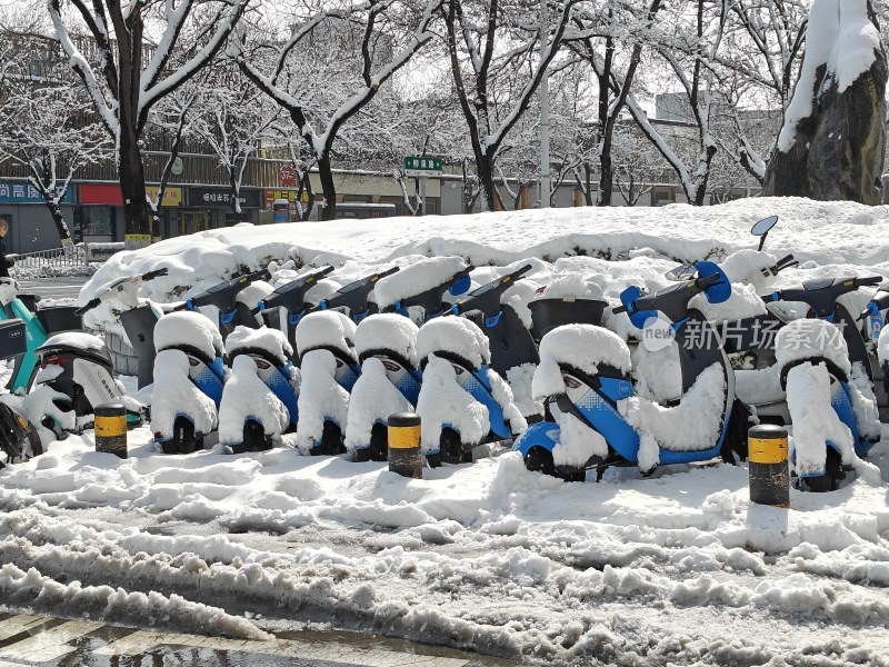 白雪覆盖的共享单车