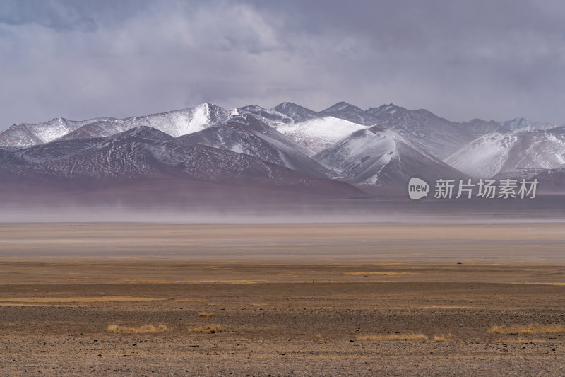 西藏阿里羌塘无人区藏地雪山下的高原牧场