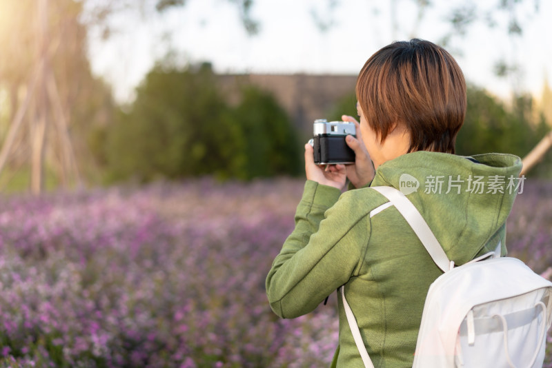 站在花丛中摄影的中国籍女性背影