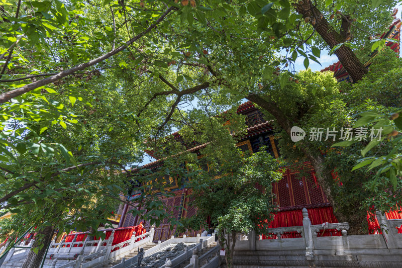 武汉洪山区宝通禅寺风景