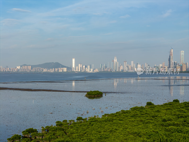 深圳湾公园