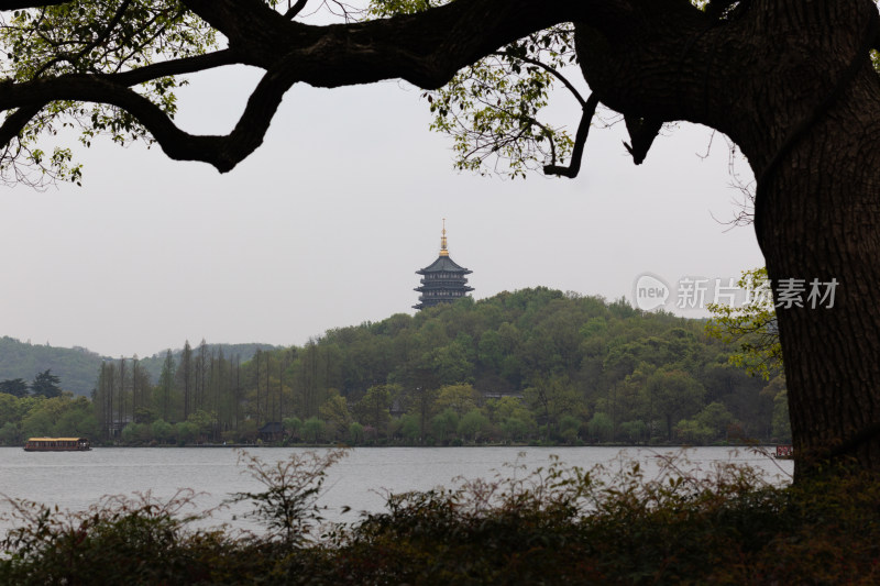 西湖苏堤边树木葱郁中的雷峰塔远景