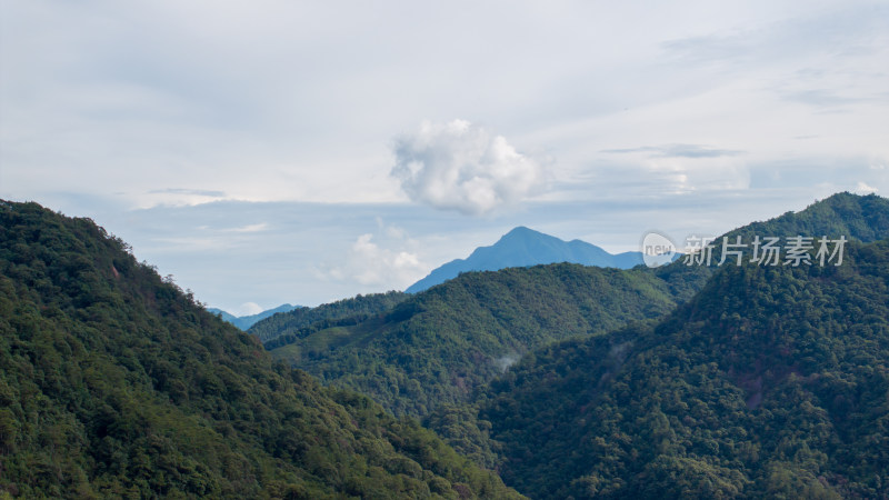 航拍福建武夷山山脉与森林