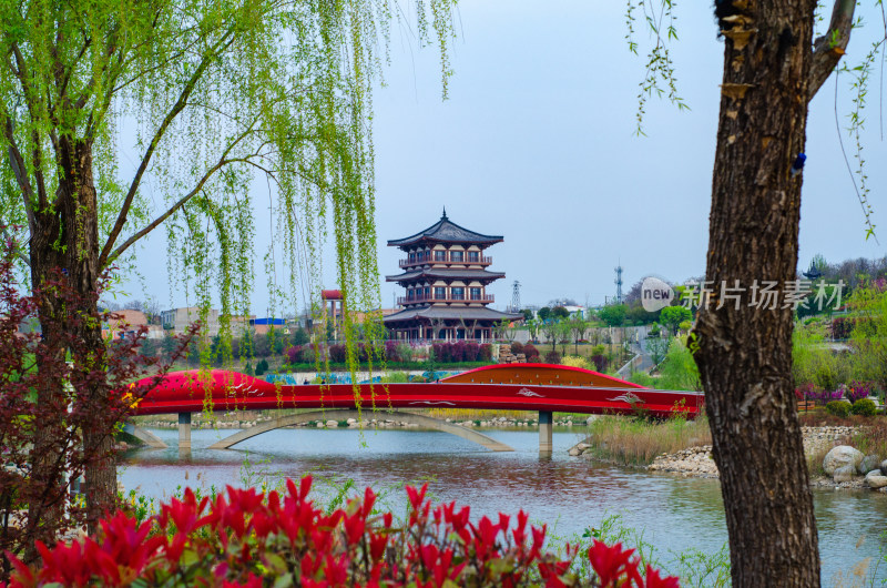 春天的渭南南湖公园风景