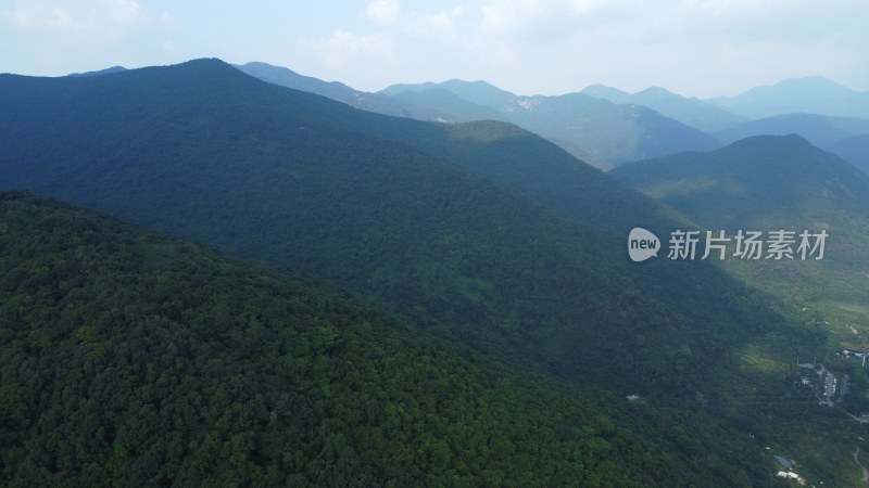 广东东莞：青山绿树