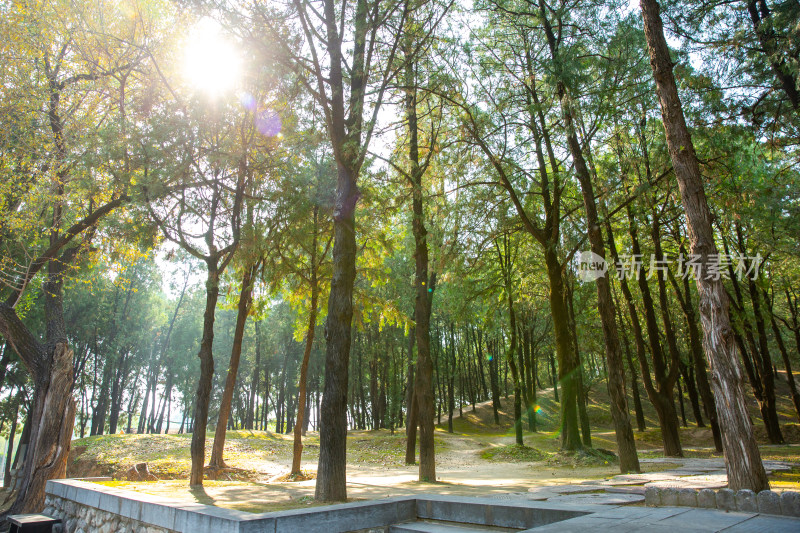 山西芮城永乐宫道教吕洞宾古建墙绘文化遗产