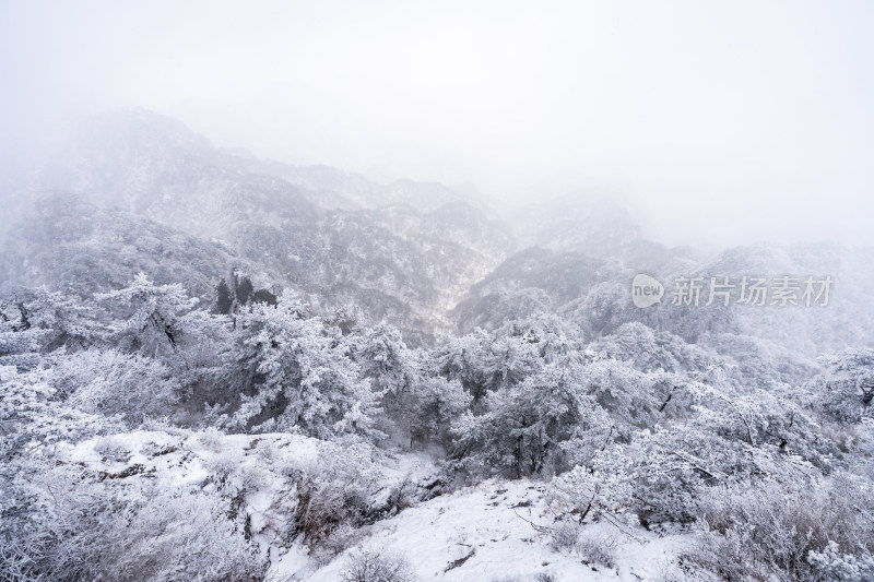 老君山下雪大山森林雾凇景观