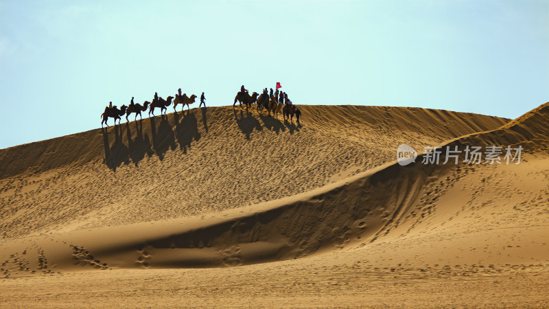 内蒙古沙漠骆驼队游客