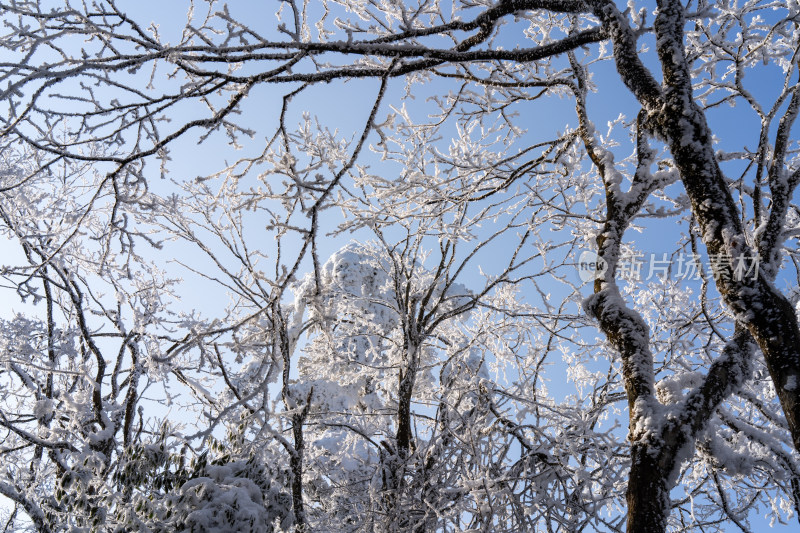 峨眉山雪景