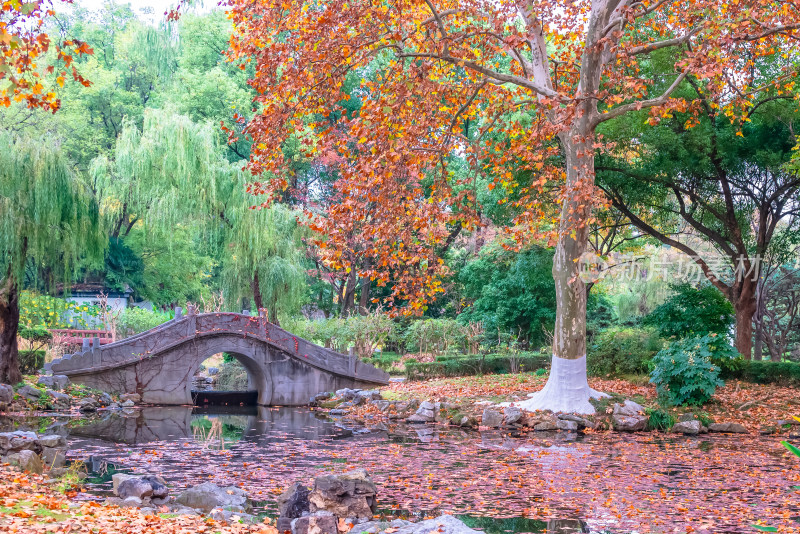 南京钟山风景名胜区明孝陵秋景