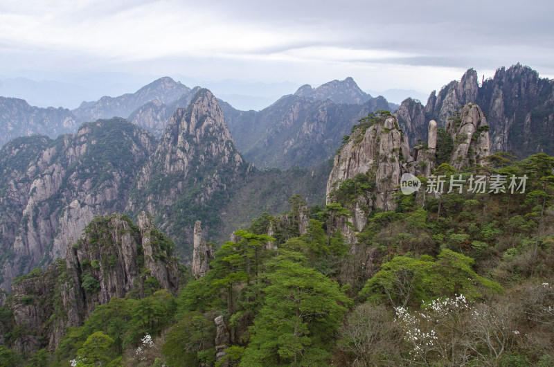 黄山松崖绝壁 奇松怪石 峰峦叠嶂