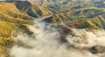 秋季金色山林与云海