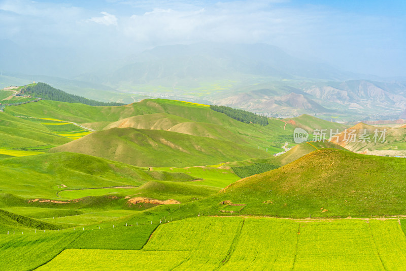 青海祁连县卓尔山景区，夏季起伏的高山牧场