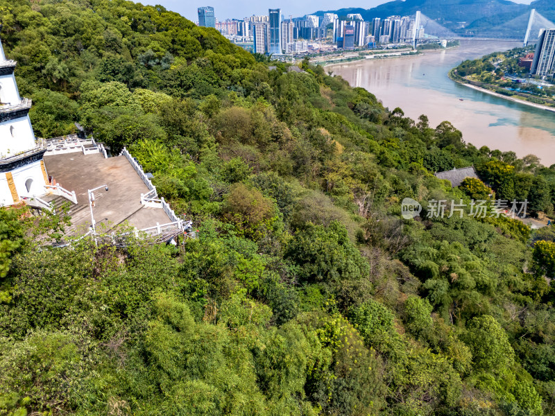 宜宾城市大景绿化植物航拍图