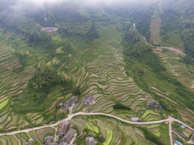 高山梯田农业种植农田