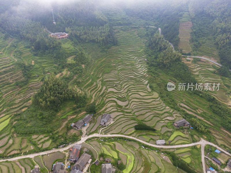 高山梯田农业种植农田