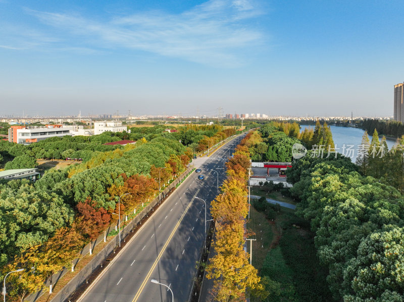 航拍道路上的秋冬景观