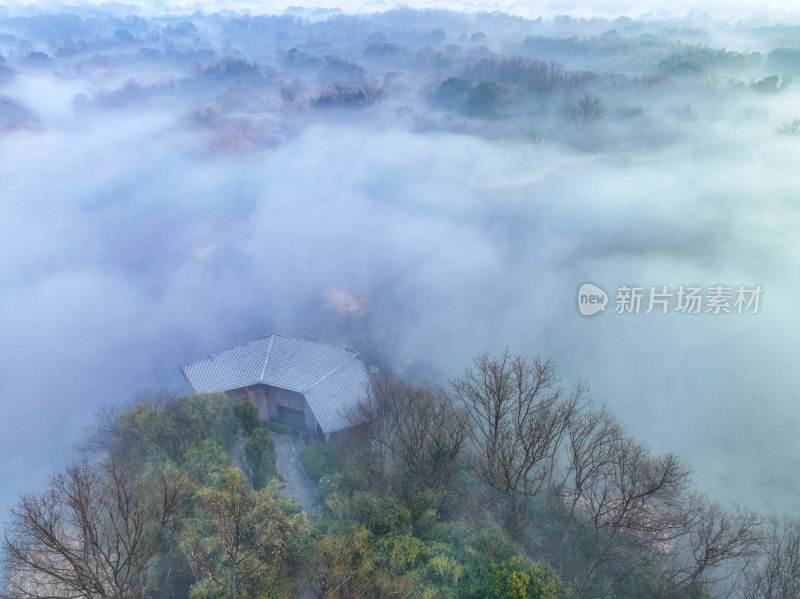 晨雾下的杭州西溪湿地国家公园