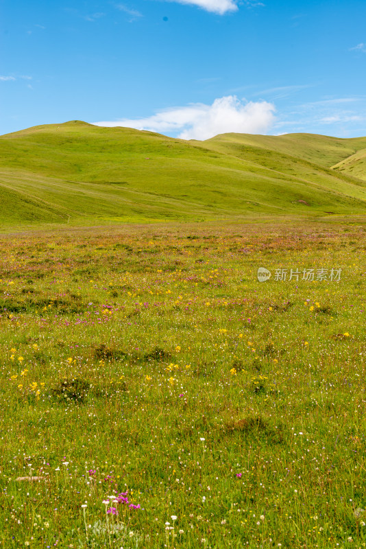 蓝天白云草原风景