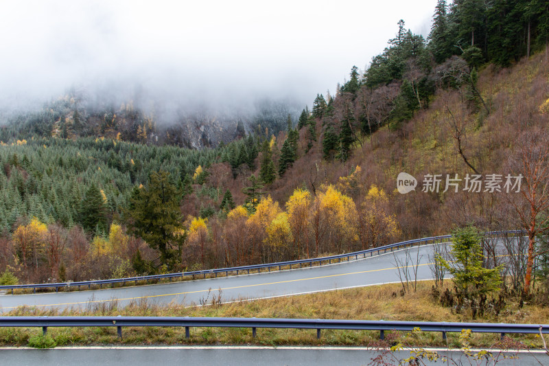 九寨沟秋色，雾中山林公路