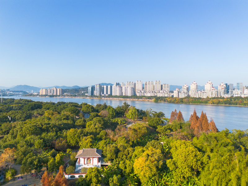 福州城市中色彩斑斓的树林全景