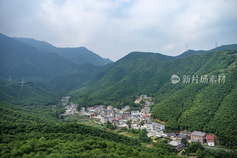 杭州大竹海风景区竹林风景