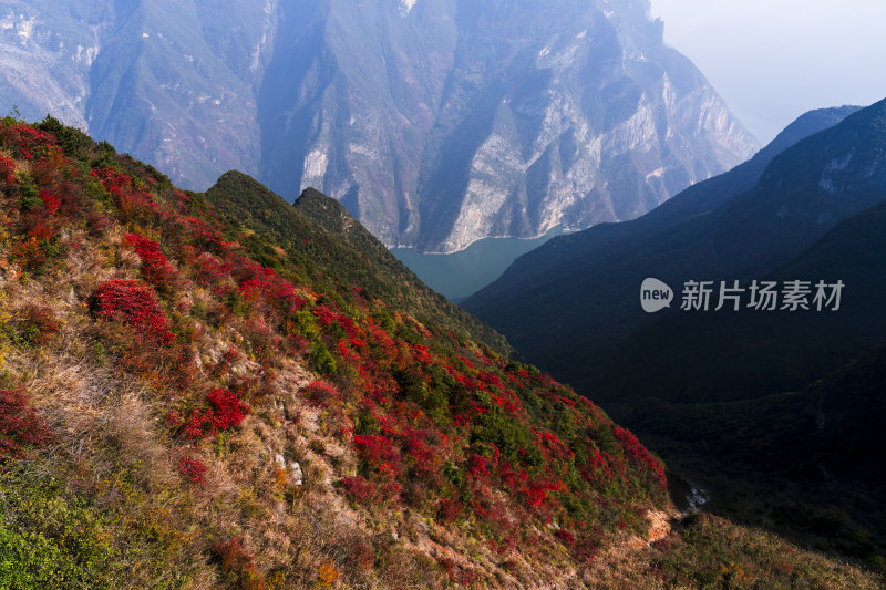 满山红叶的重庆巫山神女景区