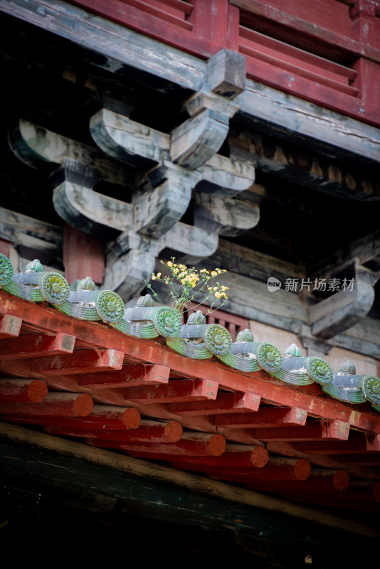 中式古建筑红墙绿瓦景观