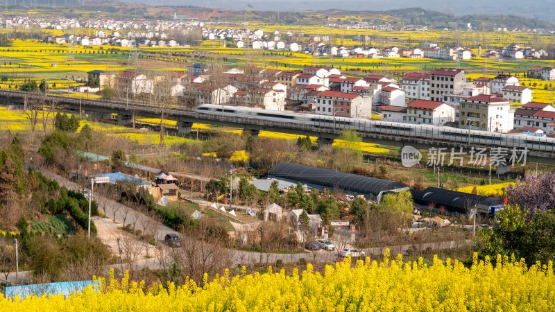 航拍汉中市洋县油菜花田乡村振兴