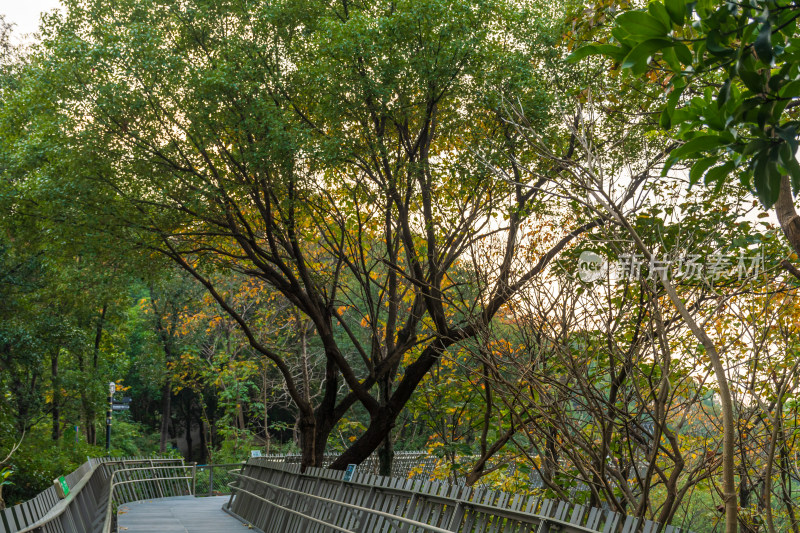 福州福道，一条融合自然与城市风光的步道