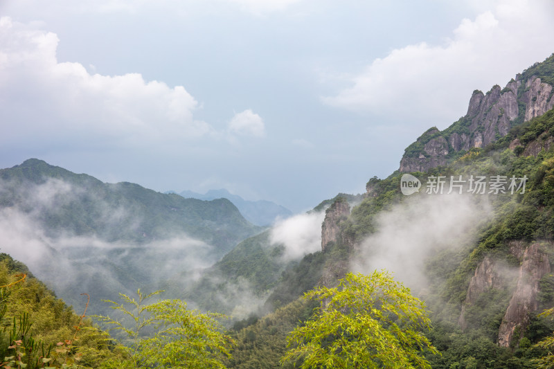 山间林海