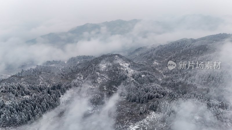 重庆酉阳：大雪纷飞赏雪忙