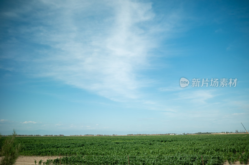 新疆布尔津风景