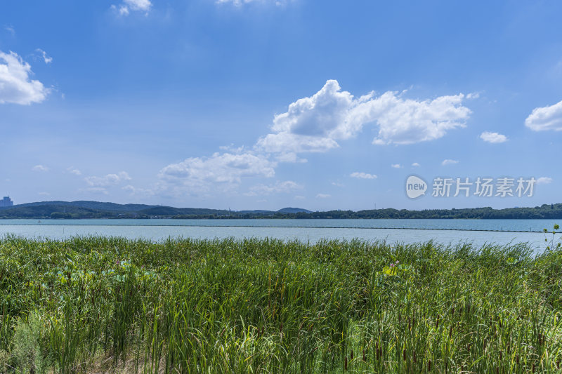 武汉洪山区万国公园风景