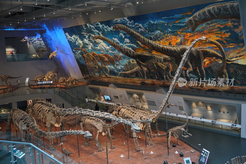重庆自然博物馆恐龙馆
