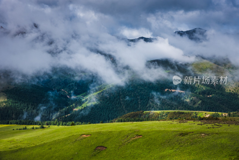 云雾缭绕的高山草原