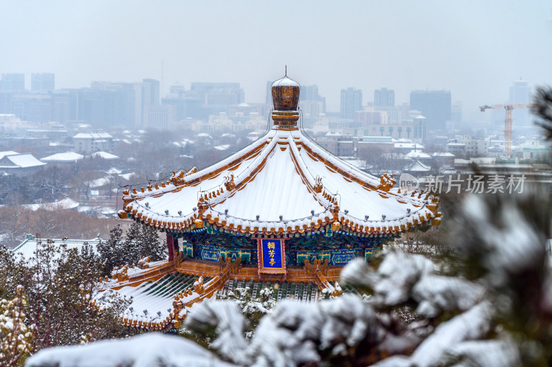 景山公园雪景