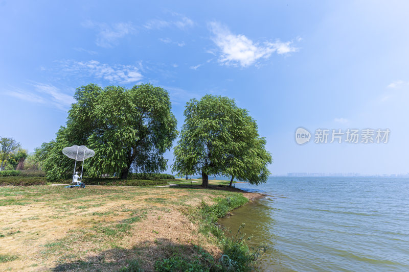 武汉江夏区悦湖公园风景