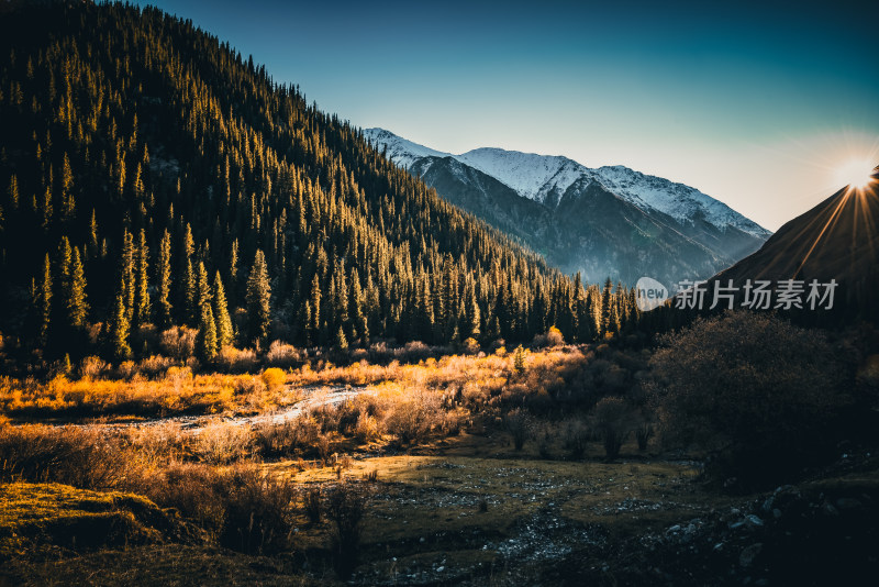 新疆天山山脉下的雪山河谷森林自然风景