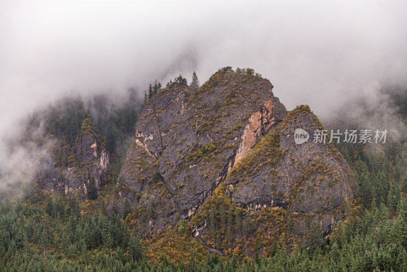 云雾缭绕的山峰森林