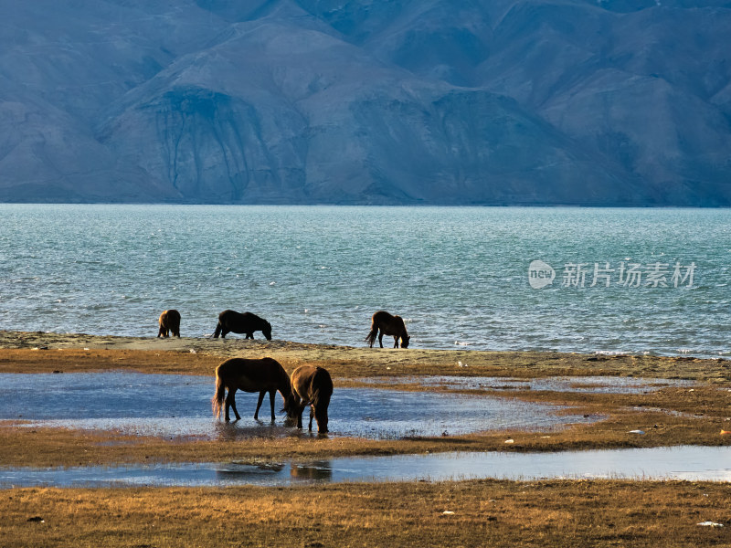 新疆塔县白沙湖