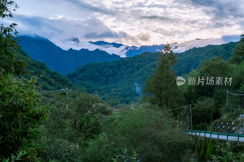 汉中留坝火烧店镇秦岭深处的山中小路